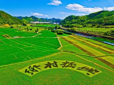 墟落振兴事情动态 （第145期）
