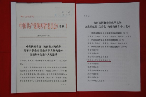 2009年2月，，，，，，，被陕西省委、省政府授予陕西省国有企业刷新攻坚先进整体
